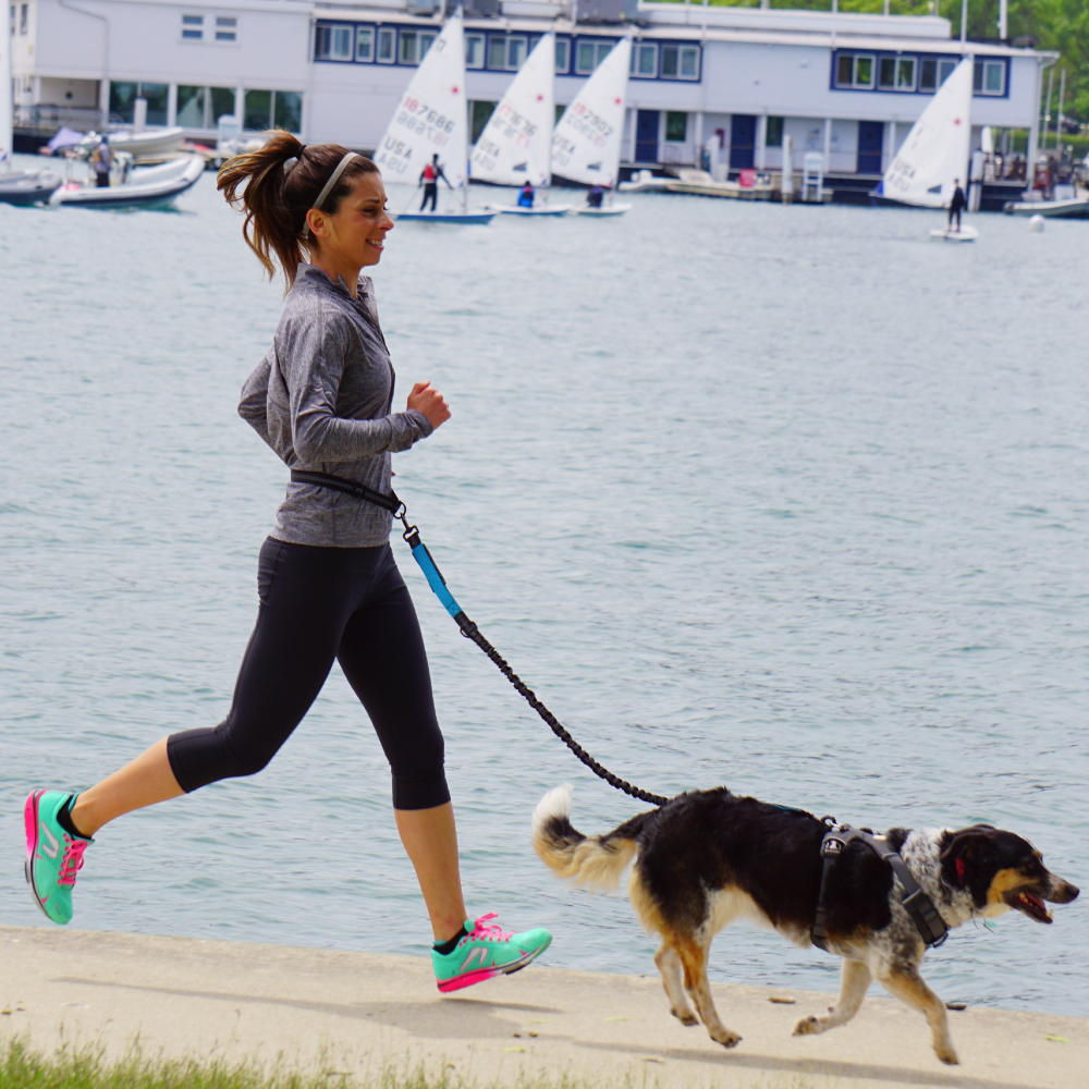 Hand Free Dog Leash for Pet Wa - Running Gear Belt ulasan dan harga