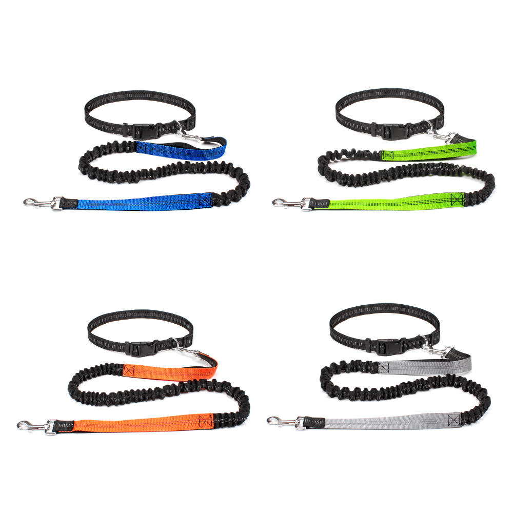 Hand Free Dog Leash for Pet Wa - Running Gear Belt ulasan dan harga