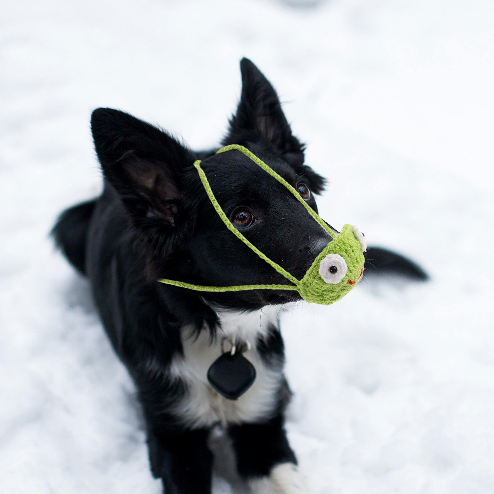 Cold Weather Nose Cover Reusab - Running Gear Cold Weather ulasan dan harga