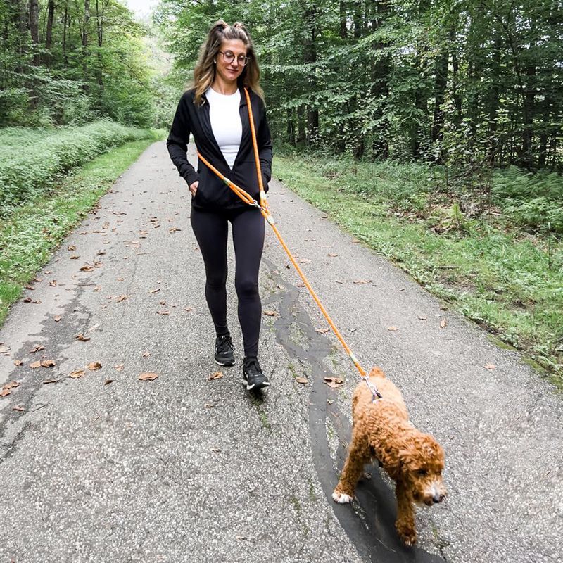 Reflective Hands-Free Dog Leas - Running Gear Belt ulasan dan harga