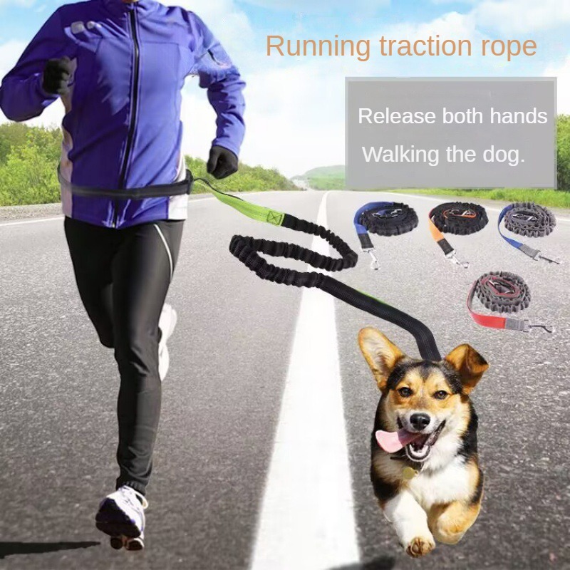 Hand Free Dog Leash for Pet Wa - Running Gear Belt ulasan dan harga